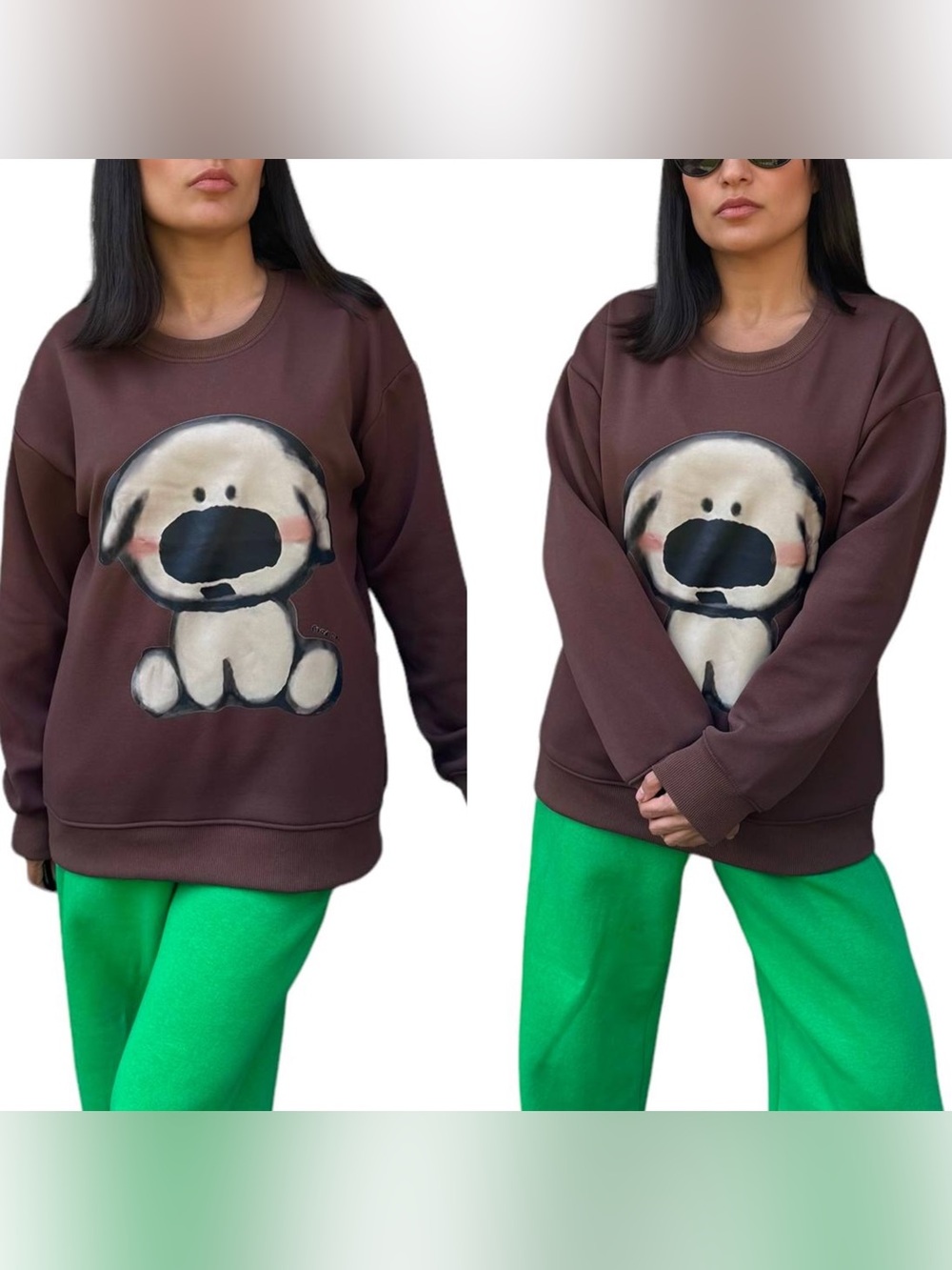 Brown Dog Graphic Pet Sweatshirt - Unbranded - Picture 3 of 4
